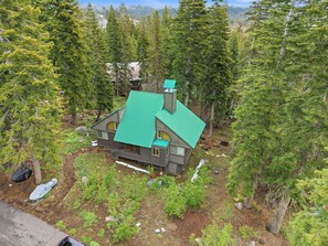 Ein Haus, umgeben von dichtem Wald, mit grüner Dachbegrünung und mehreren Fenstern.