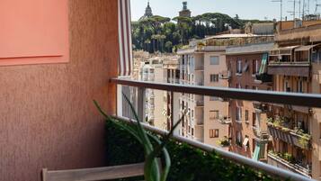 Un balcone con una pianta in vaso, vista su un paesaggio urbano con edifici e alberi, e cielo sereno.