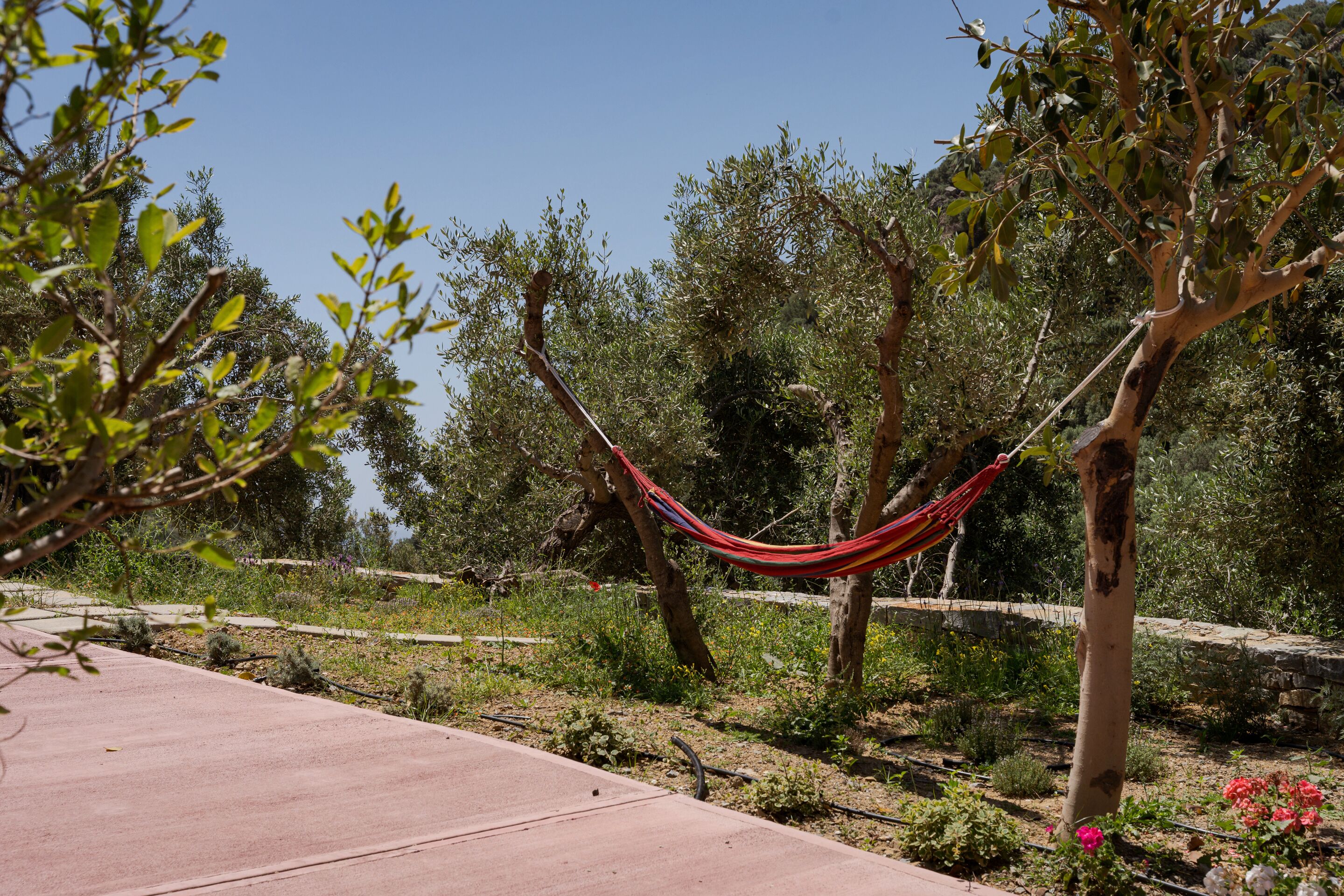 Una cadira espanyola lligada entre arbres en un jardí amb un camí pavimentat.