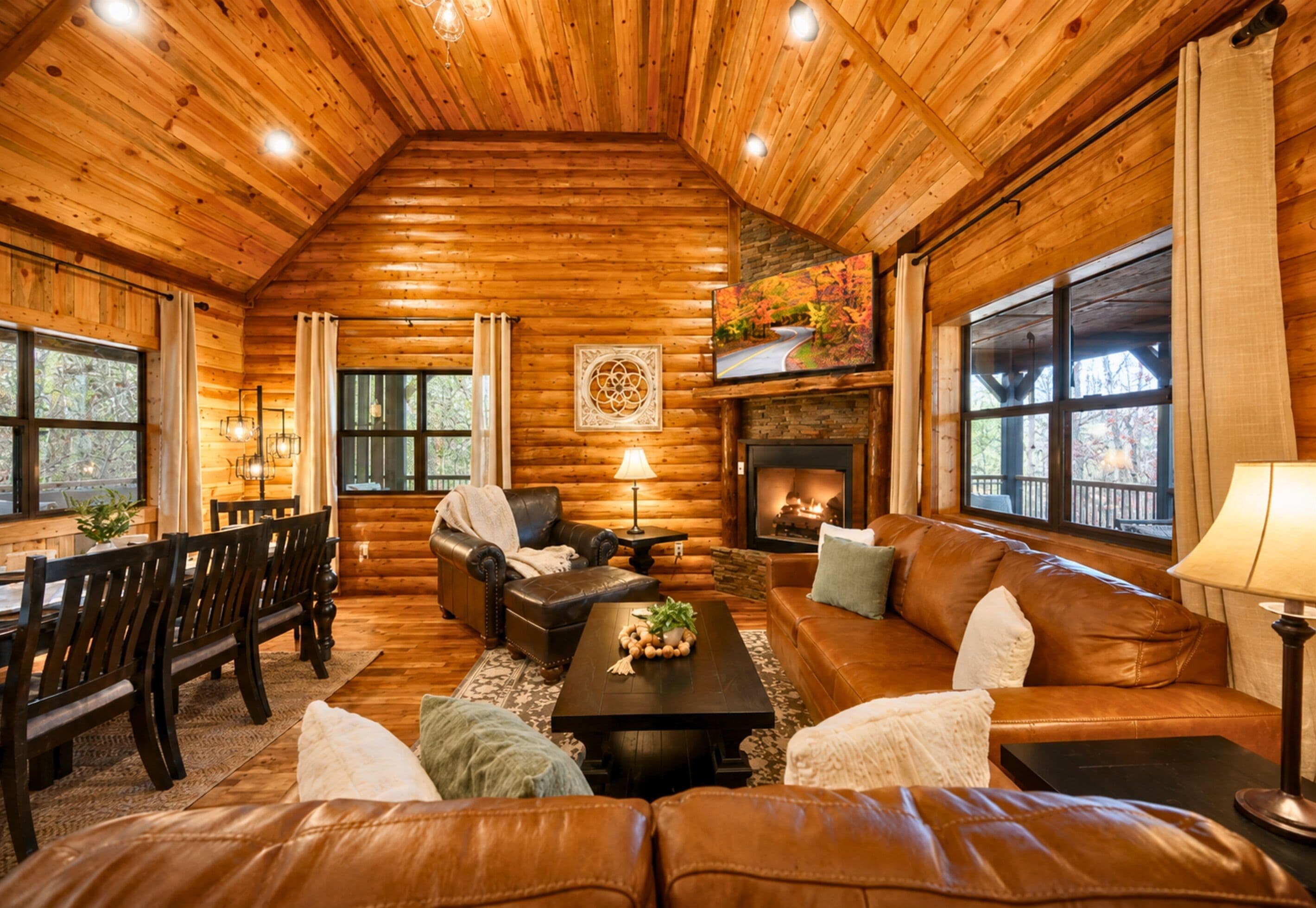 Smart TV, lareira