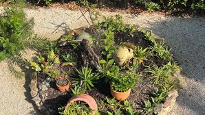 A circular garden with various potted plants and a central tree stump. - A haven of peace. Ground floor of a villa near the harbor with a private garden and entrance (Sanary-sur-Mer)