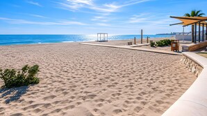 Ein Strand mit blauem Himmel, sandigem Ufer, einer Glaskonstruktion und einer beschatteten Liegewiese mit einer Palme.