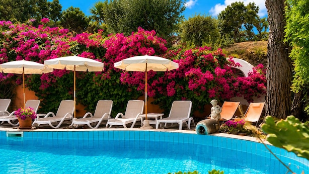 Un área de piscina con sillas de descanso y sombrillas, rodeada de flores rosas vibrantes y follaje verde.