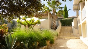 Un patio con escaleras de piedra, abundante vegetación y una palmera.