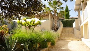 A courtyard with a stone staircase, lush greenery, and a palm tree.