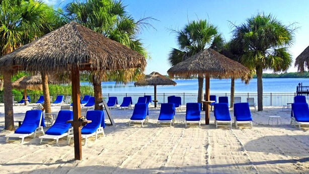 Ein Strand mit Reetdachschirmen, blauen Liegestühlen und Palmen.