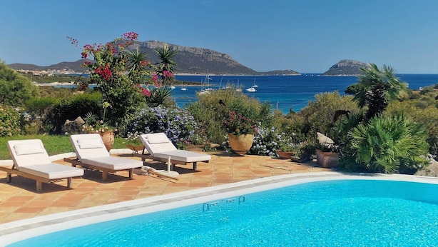 Une piscine entourée de chaises longues, agrémentée de plantes en pot et offrant une vue sur la mer.