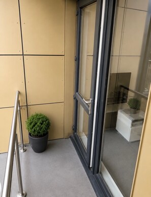 Un piccolo balcone con una pianta in vaso, una porta vetrata e una ringhiera in metallo.