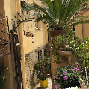 Un cortile con un cancello, piante in vaso e un muro con decorazioni in ferro battuto.
