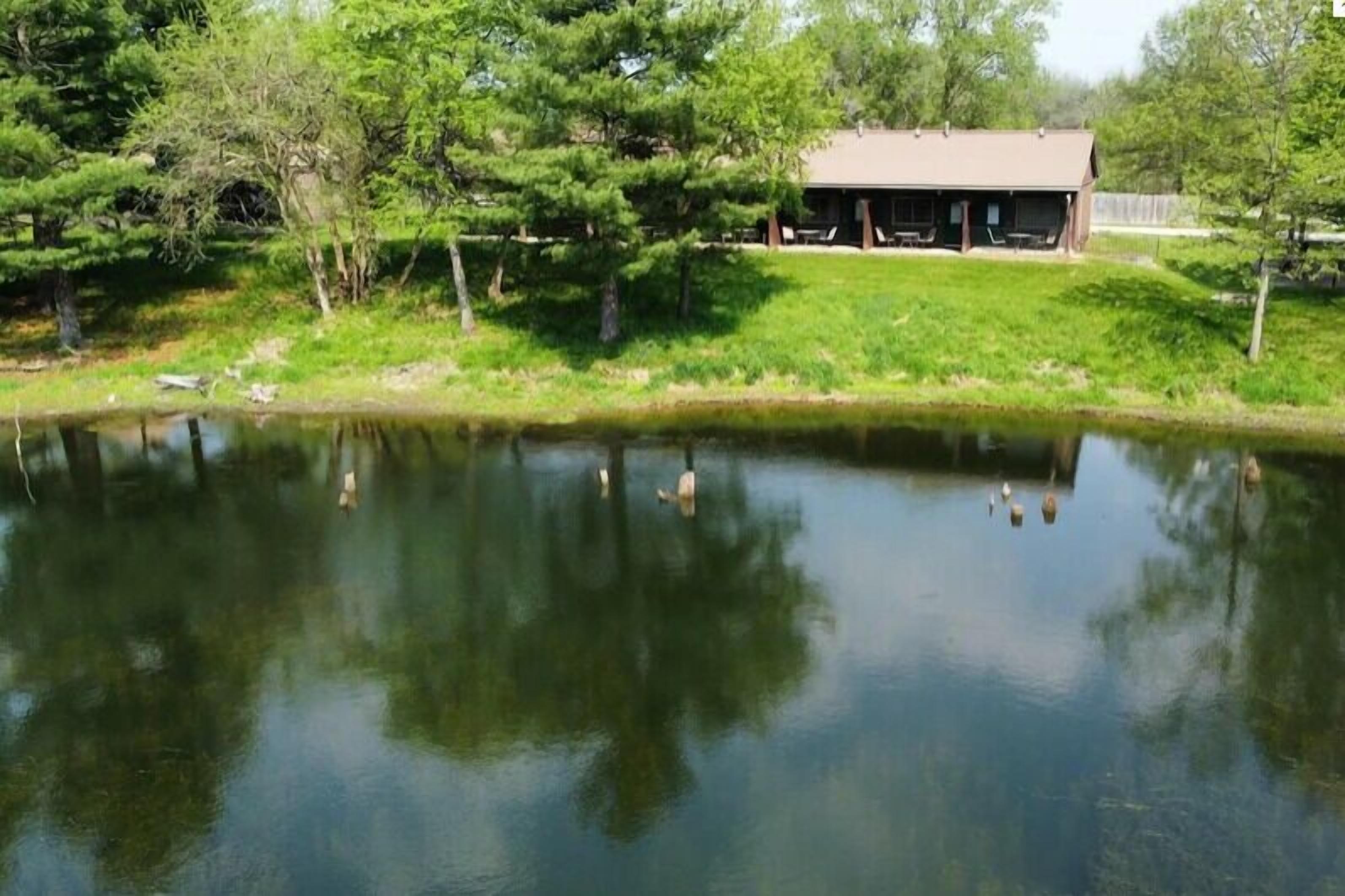 Un étang avec des canards, une zone herbeuse et un bâtiment doté d’un toit.