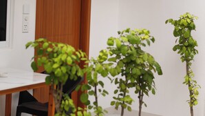 Una habitación con puerta de madera, ventilador de techo, una mesita y una planta en maceta.