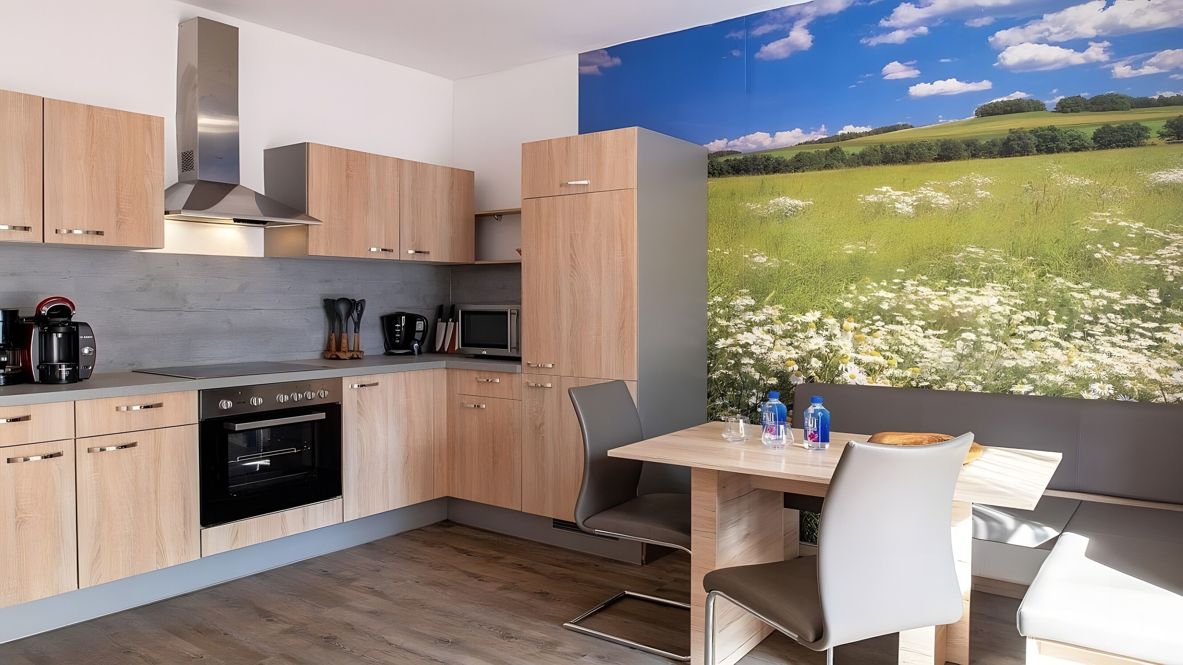 Kühlschrank, Mikrowelle, Ofen, Herdplatte