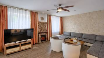TV, fireplace, DVD player, stereo