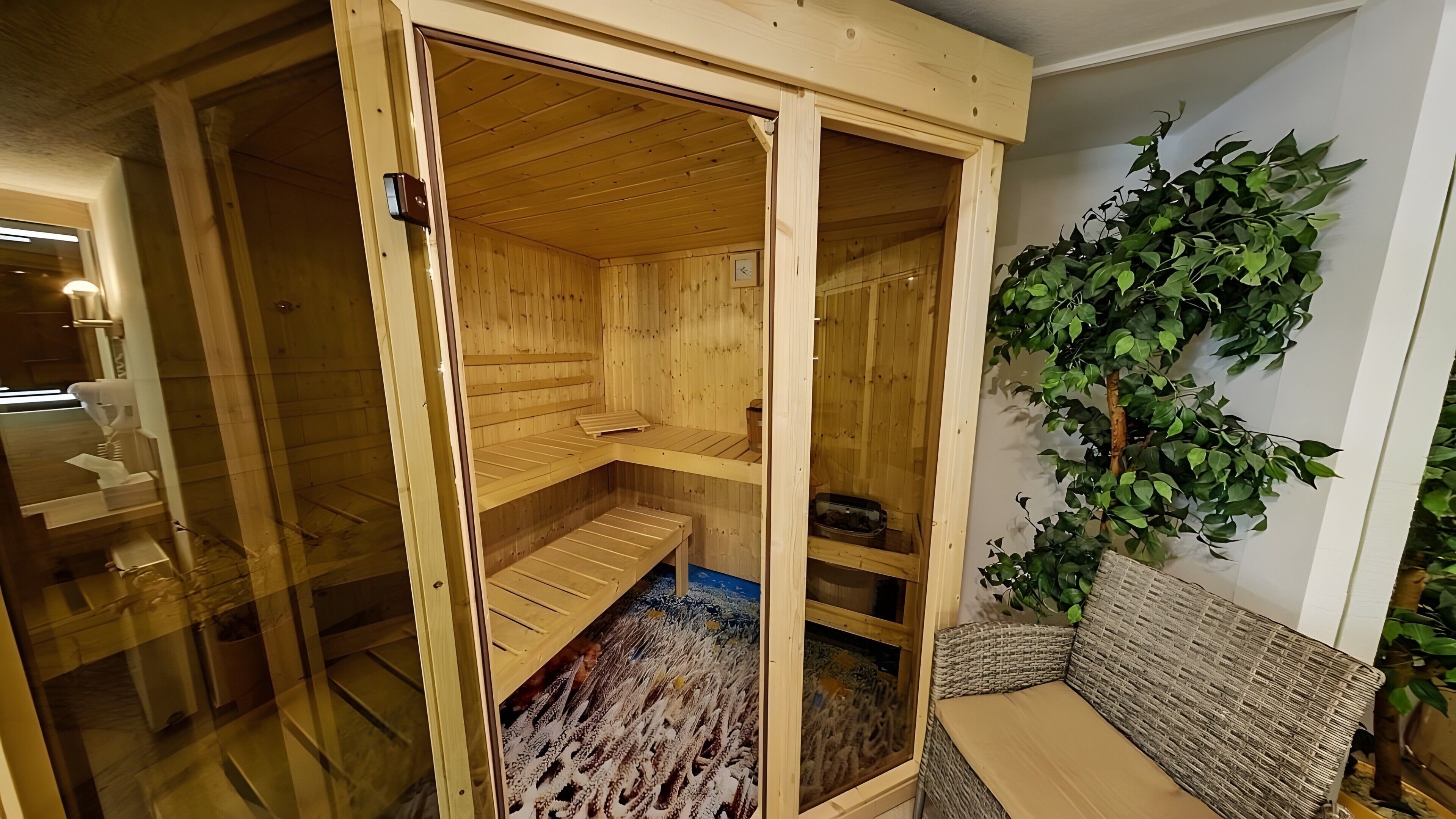 A sauna with wooden walls and benches, a glass door, and a wall-mounted plant.