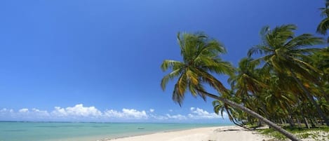 Sun loungers, beach towels
