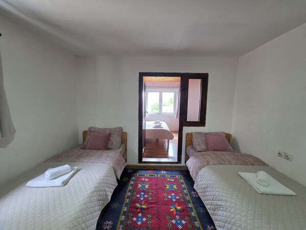 A bedroom with two beds, a colorful rug, and a view through an open door.