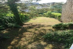 Un sentier étroit mène à une zone herbeuse bordée de chaque côté d’une végétation dense.