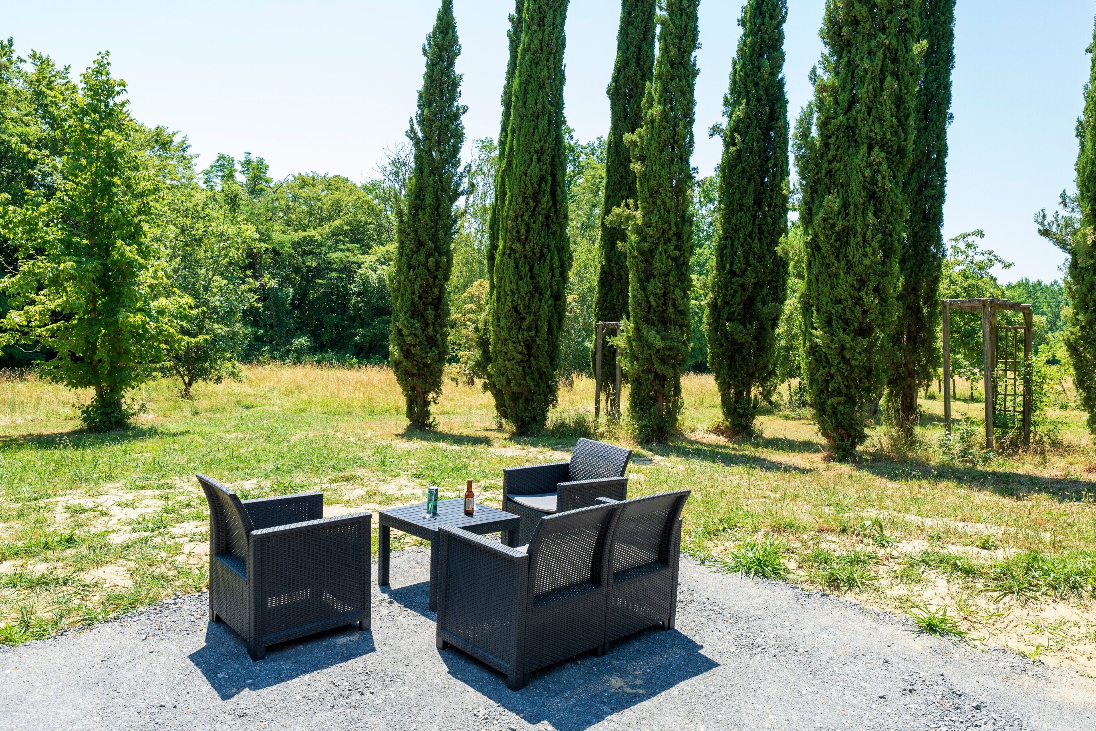 An outdoor seating area with wicker furniture and tall trees in the background.