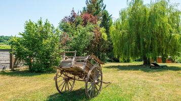 Parco della struttura