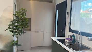 Een kleine keuken met een inbouwfornuis, een spoelbak en een potplant.