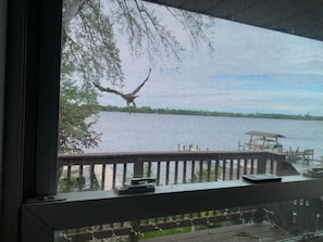 A view through a window with a railing, a dock, and a boat.