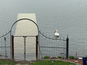 Blick auf das Wasser mit einem Metallzaun, einem weißen Vogel und einer kleinen Bebauung.