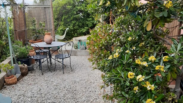 Un patio con ghiaia, un tavolo e sedie, circondato da vasi con piante e una pianta rampicante con fiori gialli.