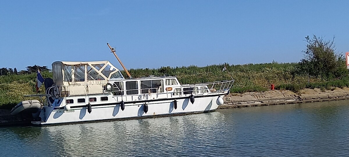 Image de profil de l’hôte