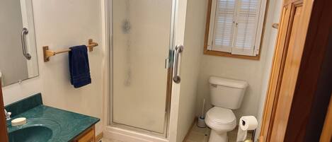 A bathroom with a shower, toilet, sink, and a mirror.