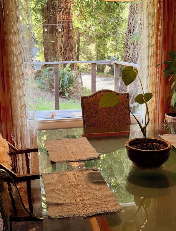 Une table en verre ornée d’un pot de plante, une chaise à motifs et un set de table en fibres tressées.