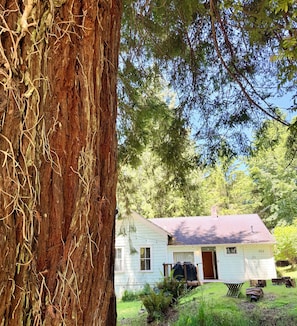 Une maison avec un porche à l’avant, entourée d’arbres et de verdure.