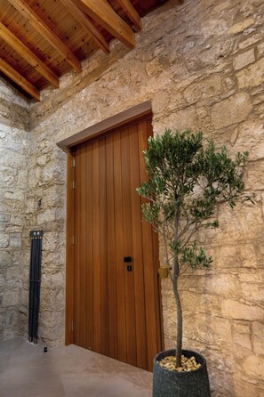 A stone wall, wooden door, and a potted plant.