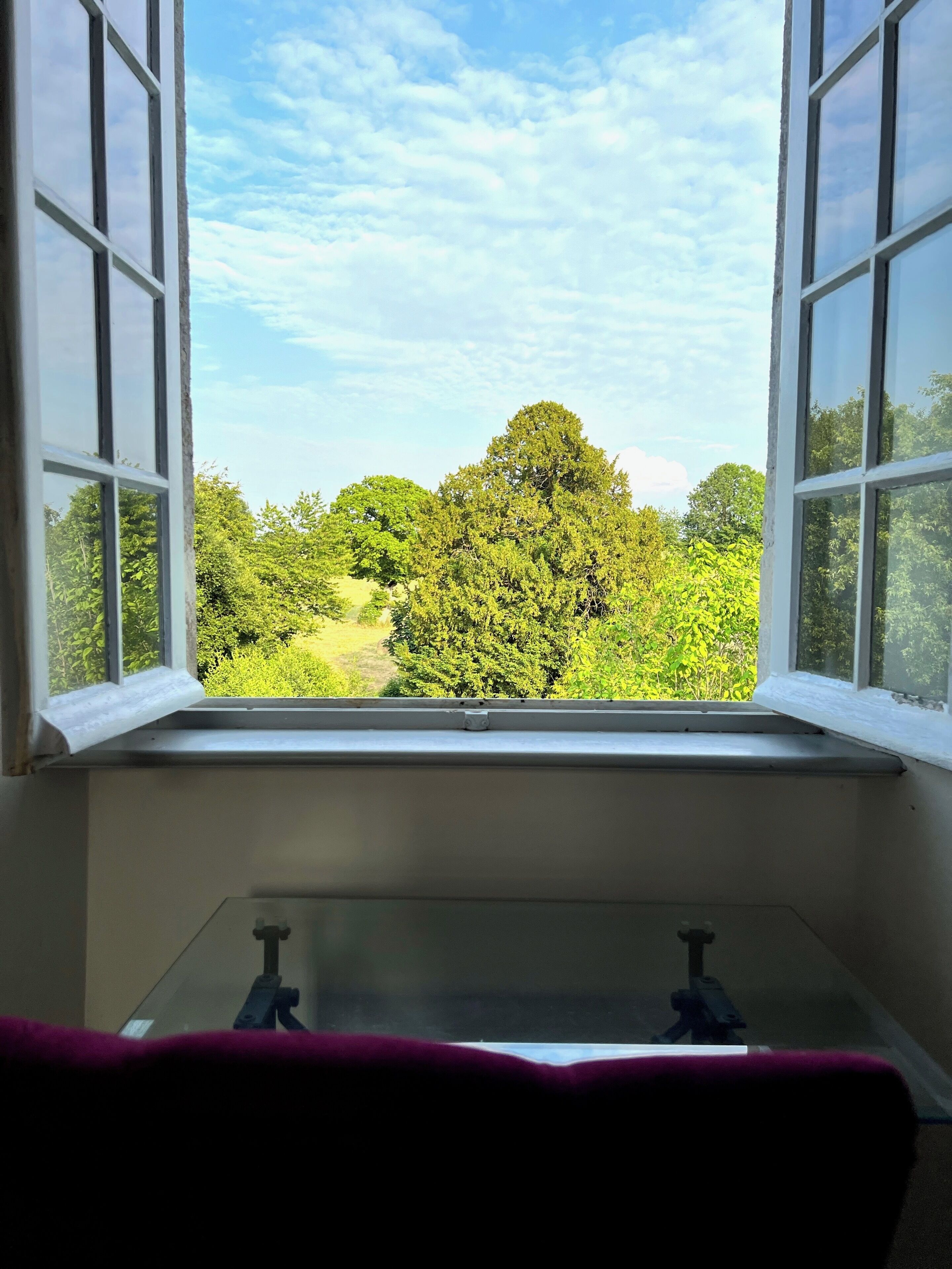 A room with a window overlooking a green landscape.