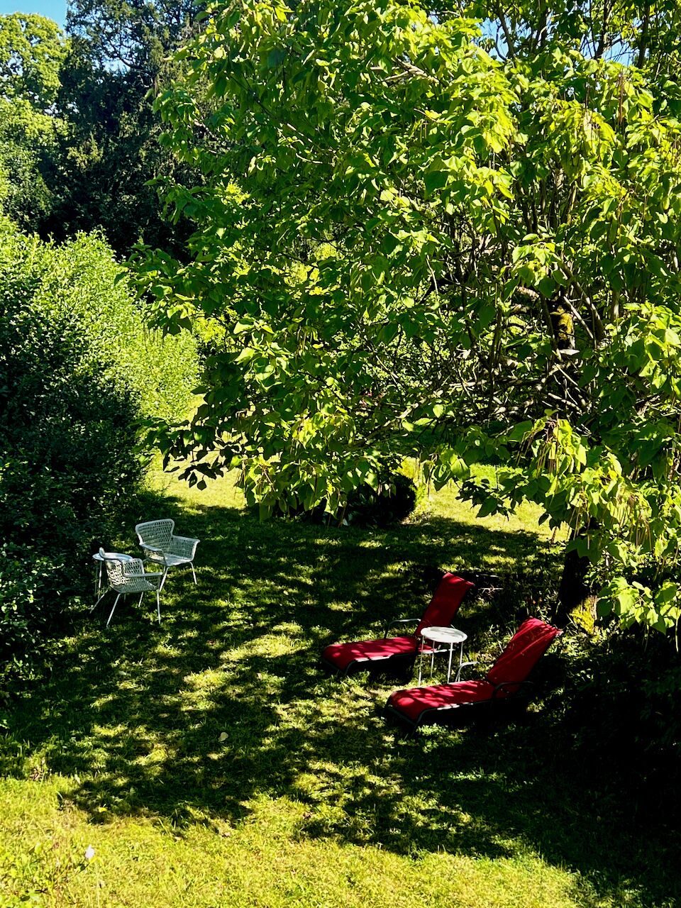 Ein Garten mit einem Baum, zwei weißen Stühlen und zwei roten Liegestühlen.