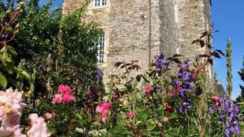 Deluxe Double Room, Pets Allowed, Courtyard View | Miscellaneous