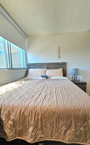 Room - High-rise apt in downtown of Montreal (Montreal)