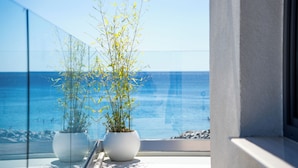 A balcony with two potted plants and a view of the ocean.