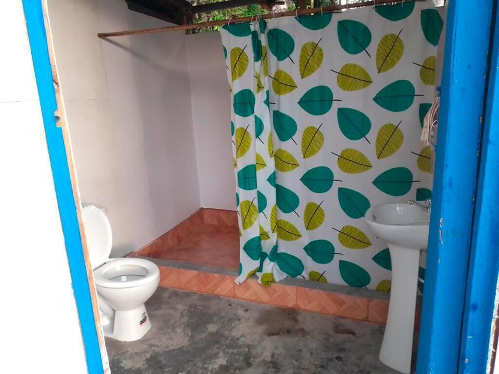 Toallas y papel de baño 