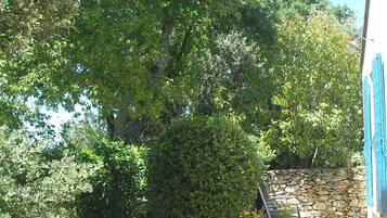 Superior Double Room, Garden View | Terrace/patio