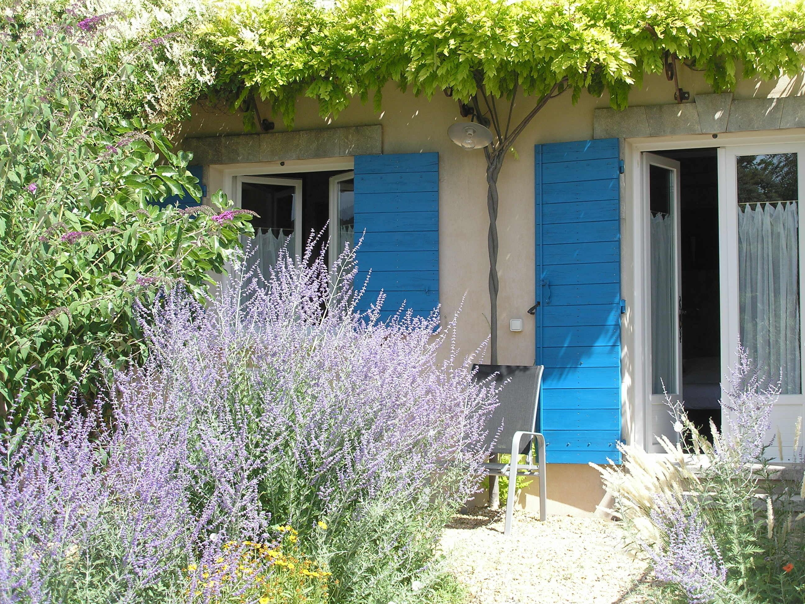 A house with blue shutters, a garden with lavender, and a tree with green leaves.