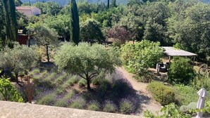 A garden with various trees and a small building. - Le clos des lavandes (Lacoste (Provence))