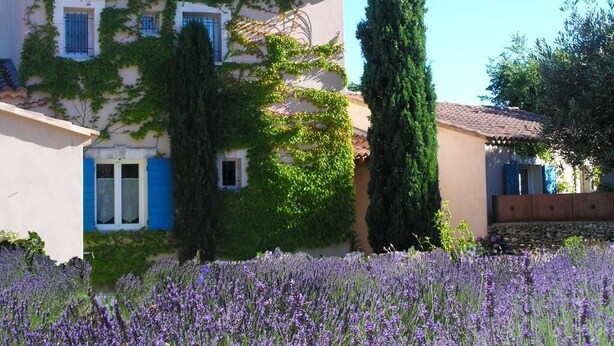 A building with a tiled roof, ivy-covered walls, and a garden with purple flowers. - Le clos des lavandes (Lacoste (Provence))