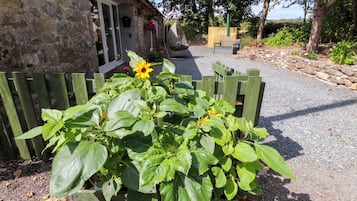 Un jardín con valla de madera, un girasol y un muro de piedra.