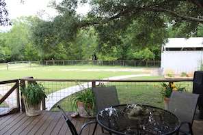 A deck with a glass table and chairs, surrounded by a fence and potted plants.