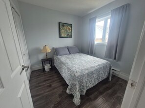 Iron/ironing board, WiFi, bed sheets - Cozy 2 bedroom fully furnished apartment in centre of Stephenville, Newfoundland (Stephenville)