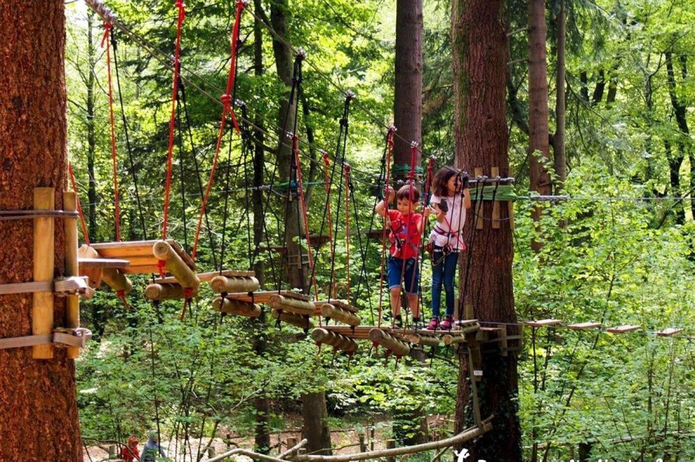 Ulkoilma-aktiviteettirata, jossa on puisia tasanteita ja köysiä, ja joka sijaitsee metsäisessä ympäristössä.