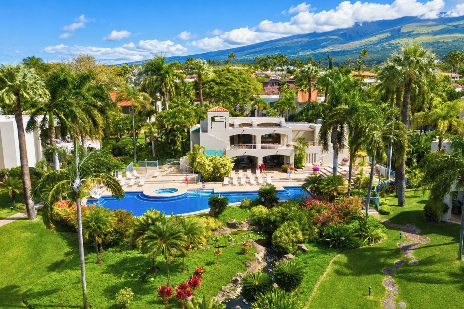 A resort with a pool, palm trees, and a view of distant mountains.