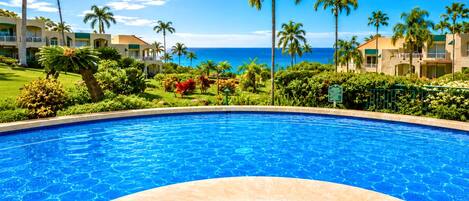 Piscina de un resort con vista al océano y palmeras.