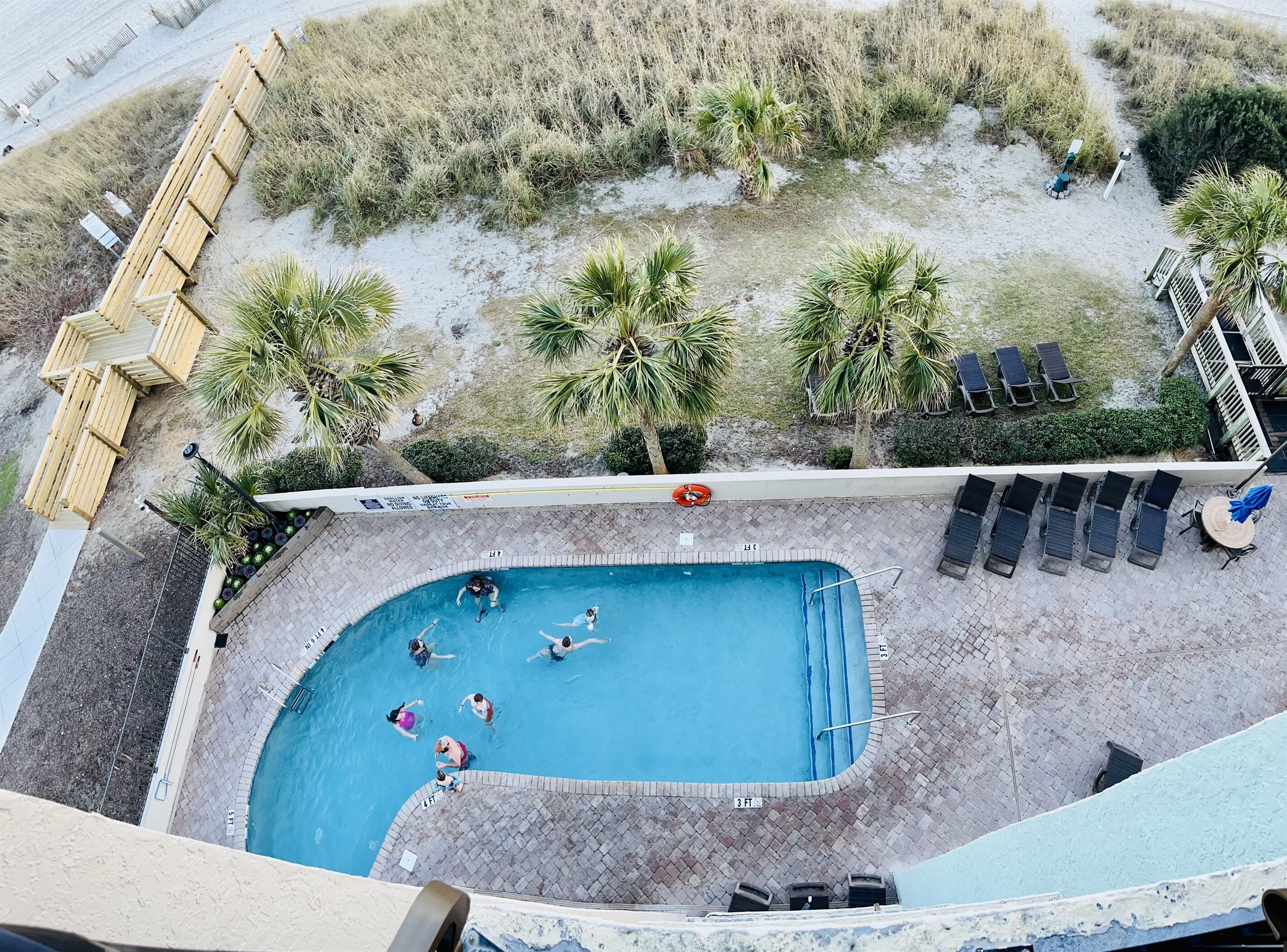 Vue aérienne d’un espace piscine avec une piscine rectangulaire, entourée de chaises longues, de palmiers et d’une terrasse en bois.