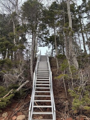 A metal staircase leading up a forested hill. - MaryBea's Beach House on the Brudenell River (Georgetown)